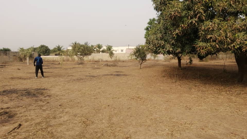 Terrains de 300 mètres carrés délibération à Gandigal