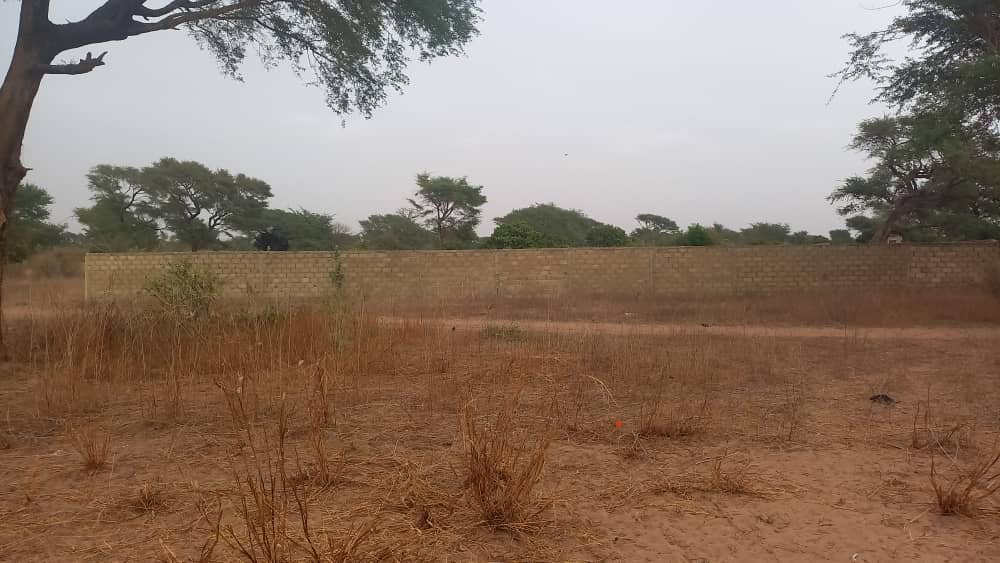 Terrains de 300 mètres carrés à Malicounda