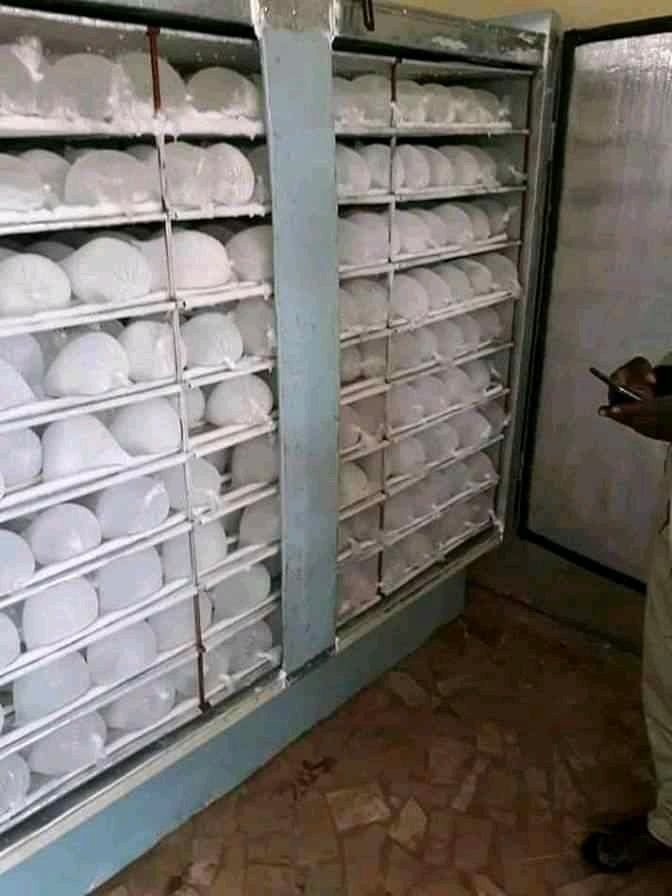 chambre froide chambre froide