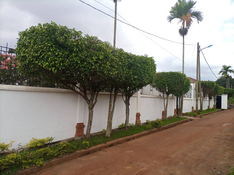Une Somptueuse Villa à Vendre au quartier Ngousso Hôpital Général Une Somptueuse Villa à Vendre au quartier Ngousso Hôpital Général