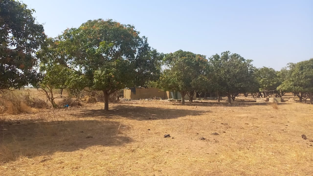 Terrain de 225 mètres carrés délibération à Saly