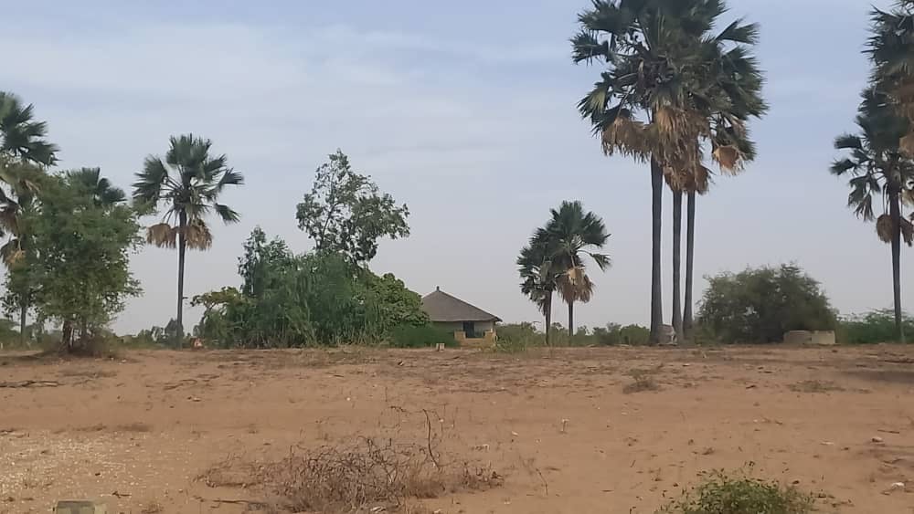 Terrains de 225 mètres carrés à Pointe Saréne