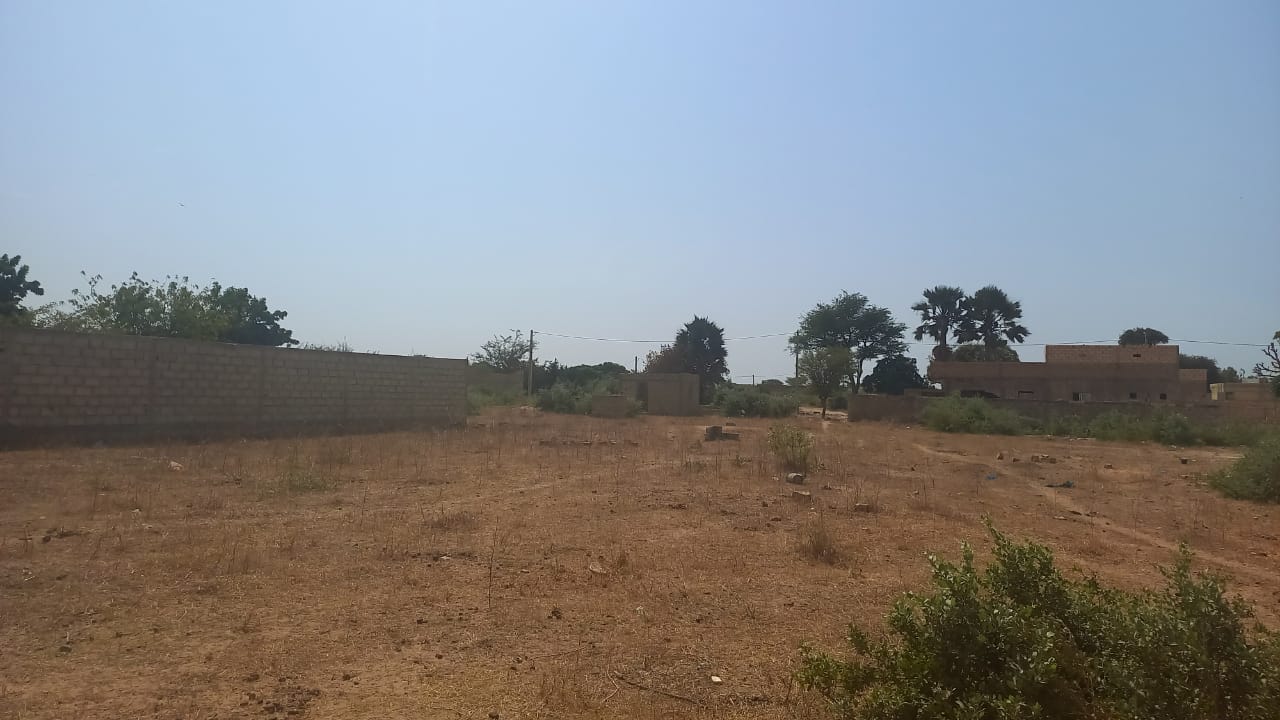 Terrains de 300 mètres carrés délibération à Saly