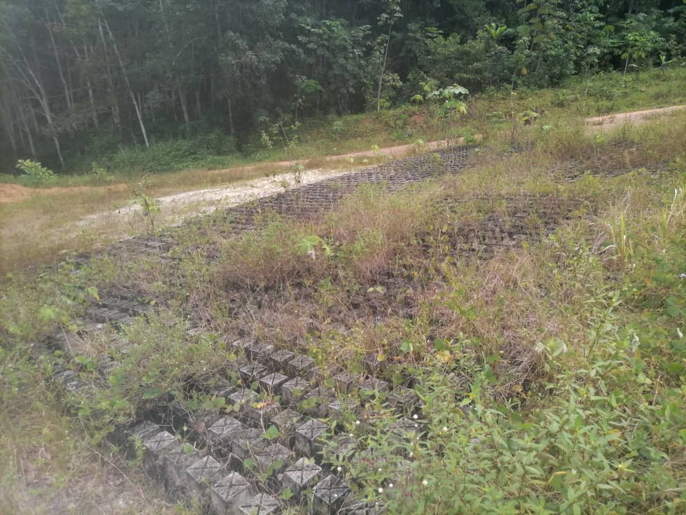 BELLE SURPRISE TERRAIN A SONGON