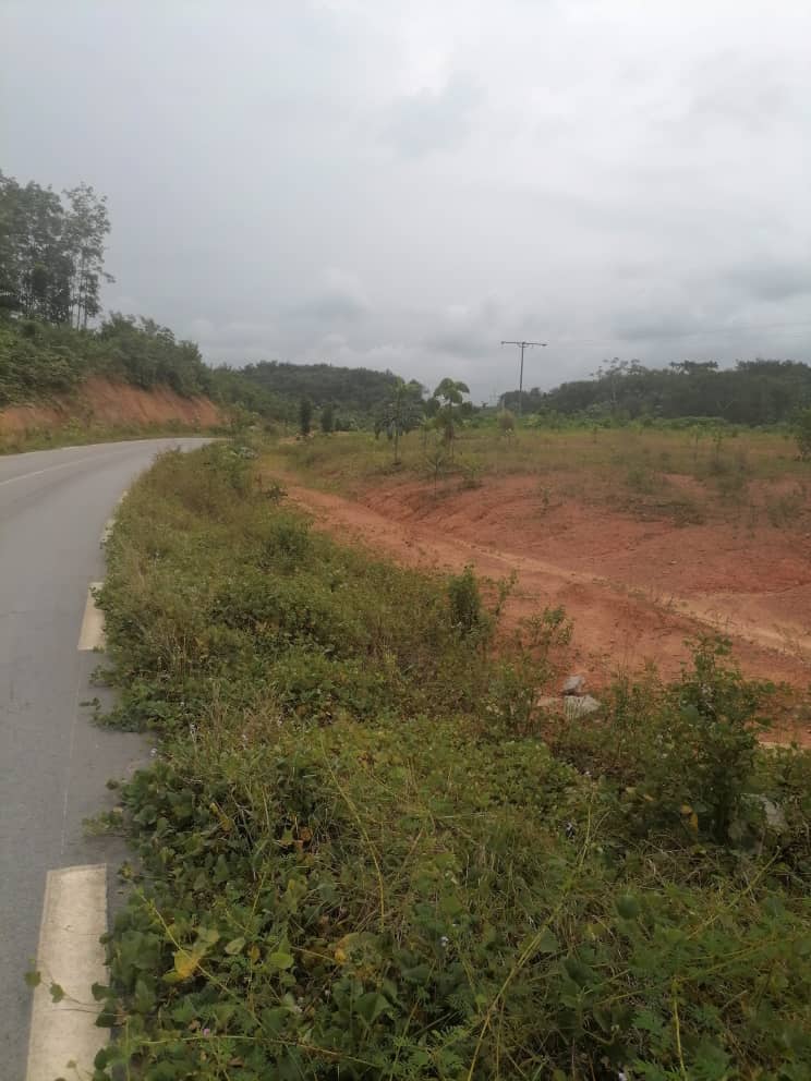 BELLE SURPRISE TERRAIN A SONGON