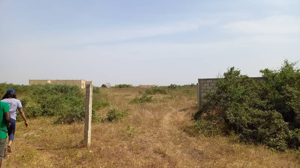 Terrain de 300 mètres carrés délibération à Saly