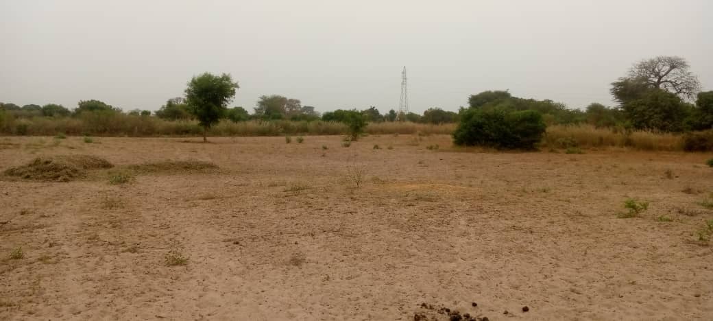 Terrain de 1 hectare à Malicounda