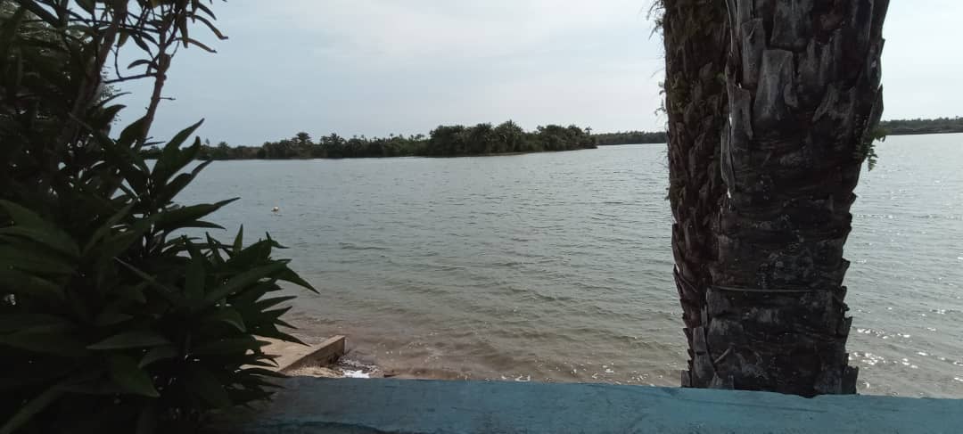 URGENCE URGENCE 🚨🚨🚨 VENEZ VOIR DES BEAUX TERRAIN A SONGON