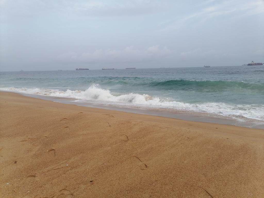 VENTE DE TERRAINS JACQUEVILLE