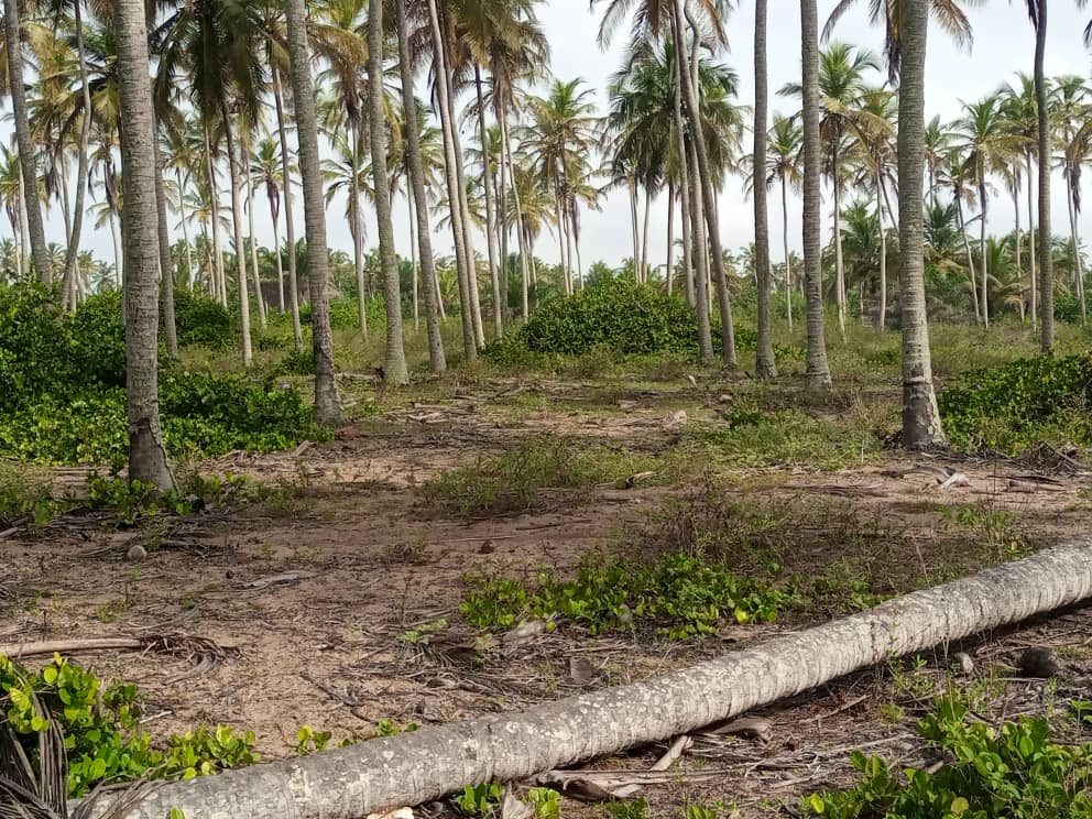 VENTE DE TERRAINS JACQUEVILLE VENTE DE TERRAINS JACQUEVILLE