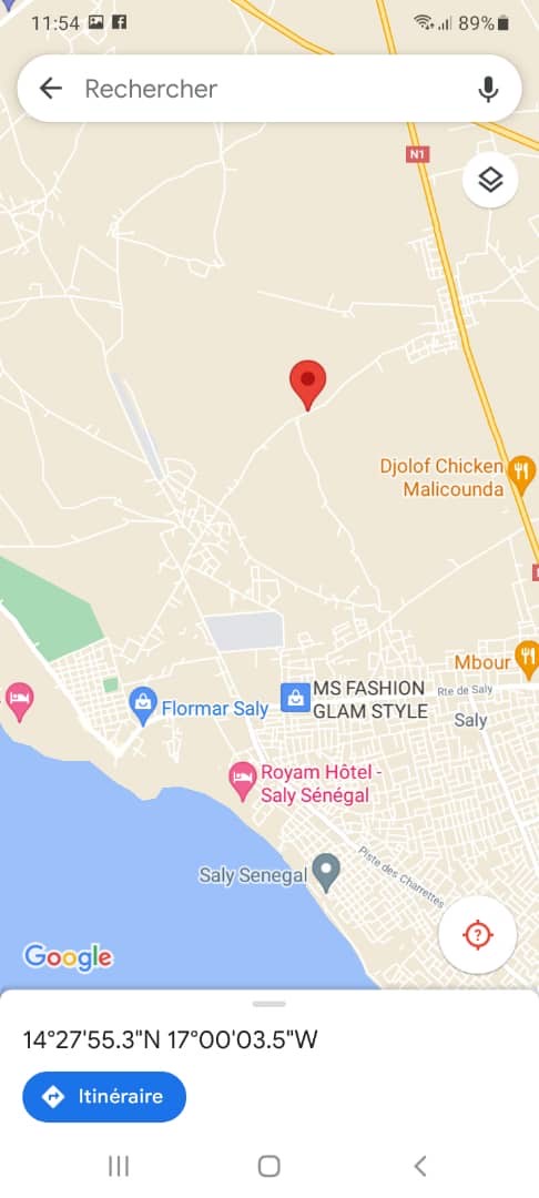 Terrain agricole de 1 hectare à vendre à Téne Toubab