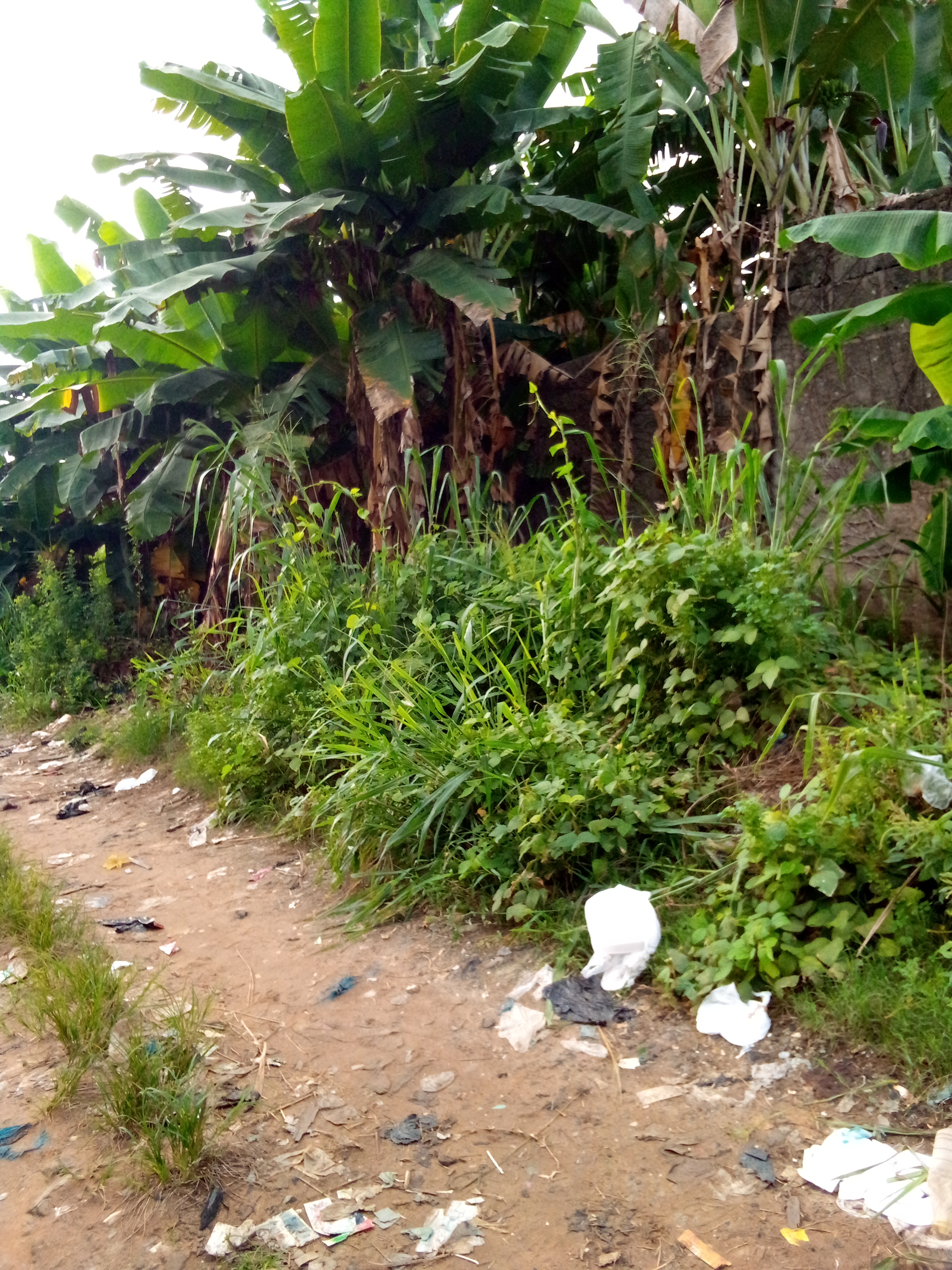 Vente terrain 969m2 Angré 7e Tranche