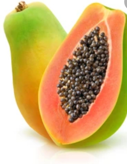 Vente de toutes les plantes fruitières,non fruitières et leur semences Vente de toutes les plantes fruitières,non fruitières et leur semences