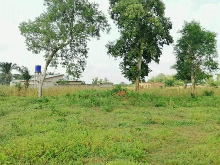 PARCELLE DÉJÀ MORCELÉES À VENDRE À OUEDO