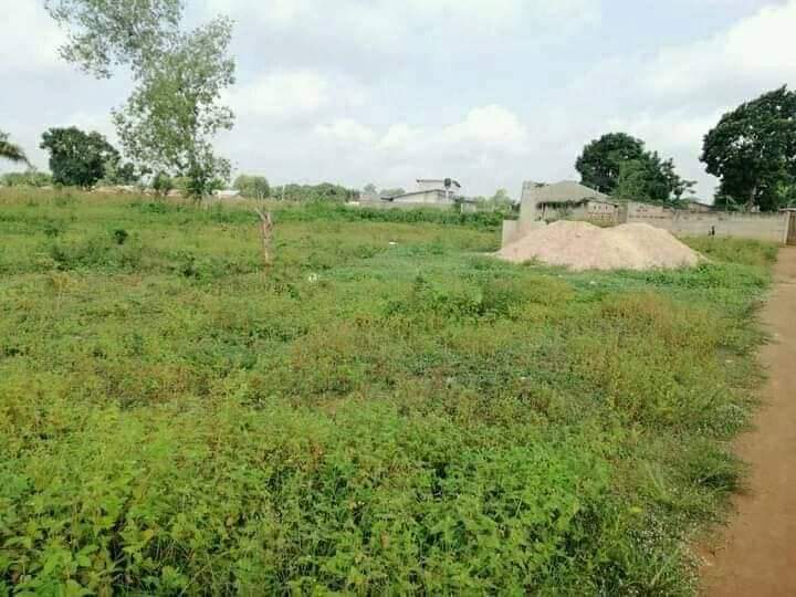 PARCELLE DÉJÀ MORCELÉES À VENDRE À OUEDO PARCELLE DÉJÀ MORCELÉES À VENDRE À OUEDO