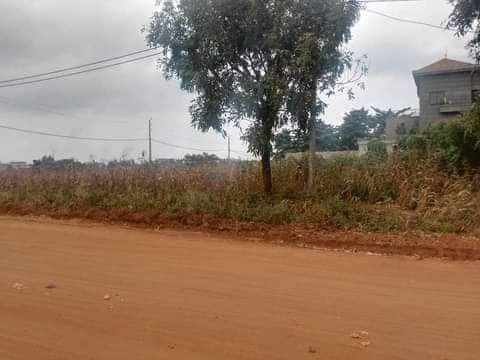 TROIS PARCELLES ENSEMBLE À VENDRE À CALAVI ZOPAH