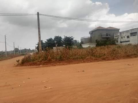 TROIS PARCELLES ENSEMBLE À VENDRE À CALAVI ZOPAH TROIS PARCELLES ENSEMBLE À VENDRE À CALAVI ZOPAH