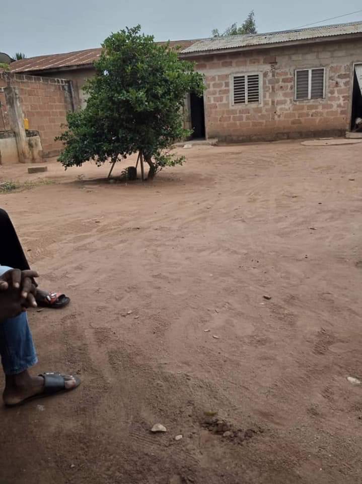 PARCELLE EN ANGLE DE RUE À WOMEY