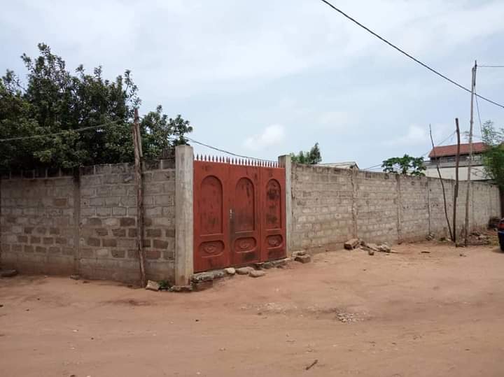 PARCELLE EN ANGLE DE RUE À WOMEY PARCELLE EN ANGLE DE RUE À WOMEY