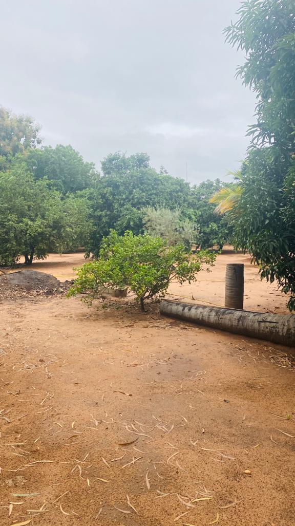 Domaine à vendre à Abomey calavi