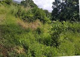 Terrain en Vente 600m2