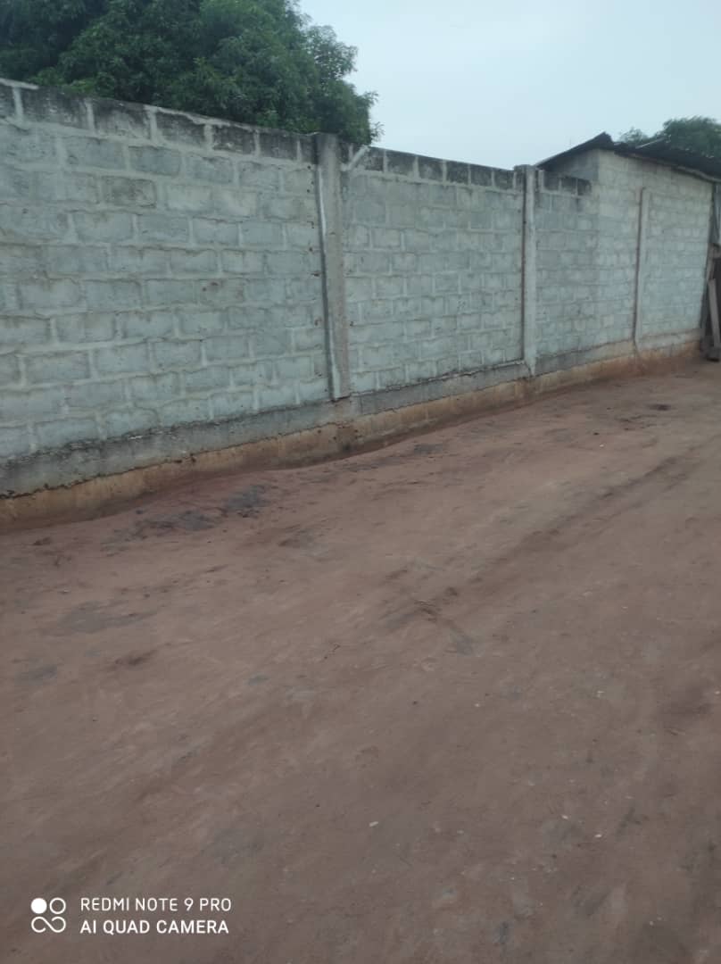 Deux parcelles ensemble avec TF à vendre à womey Deux parcelles ensemble avec TF à vendre à womey