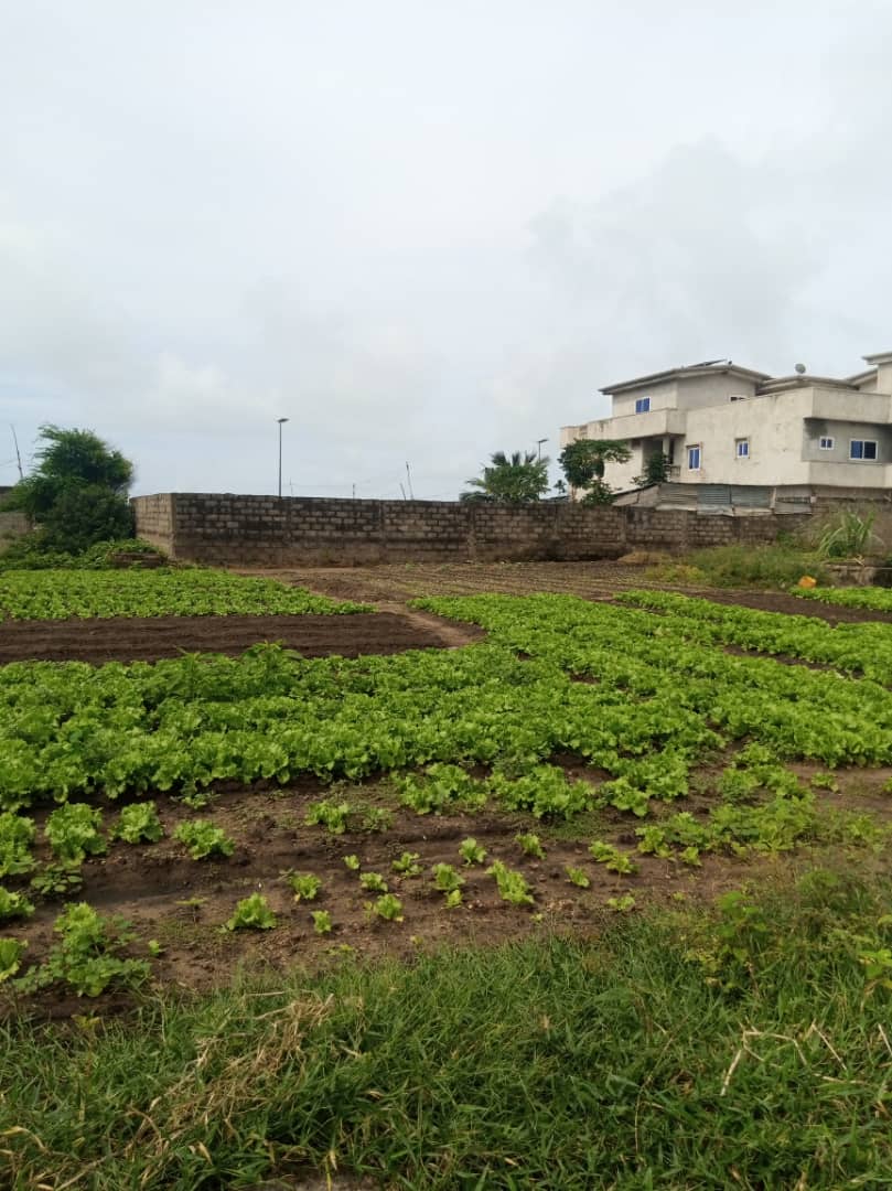 Deux parcelles ensemble à vendre à Fidjrossê club des rois route des pêches