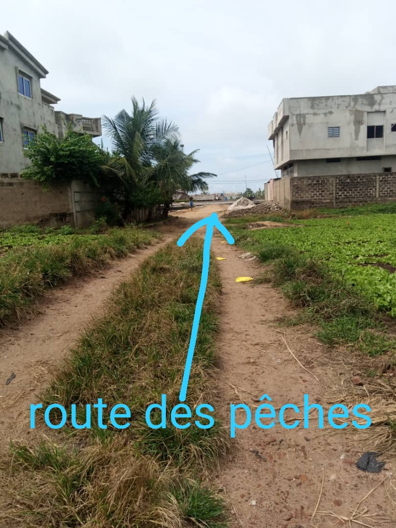 Deux parcelles ensemble à vendre à Fidjrossê club des rois route des pêches