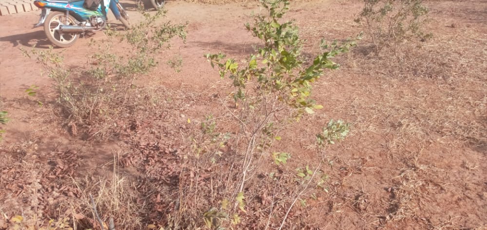 entreprise AKDR mali immobilier