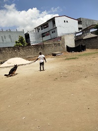 Terrain en vente à la palmeraie résidentiel