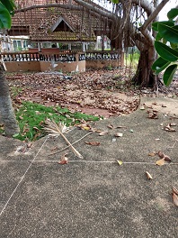 villa délabrée  sur une superficie de 4000 mètre carré en vente