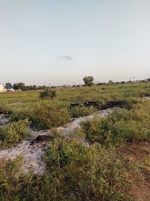 Terrain nu en vente sur l'autoroute de Grand Bassam