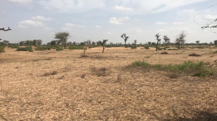 Terrain Agricole de 4,07 hectares à Ndieyene Sirakh