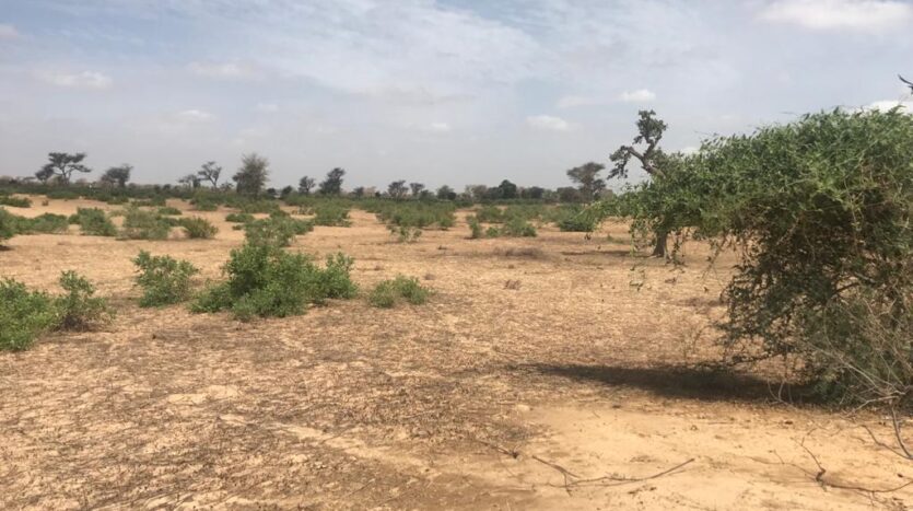 Terrain Agricole de 4,07 hectares à Ndieyene Sirakh Terrain Agricole de 4,07 hectares à Ndieyene Sirakh