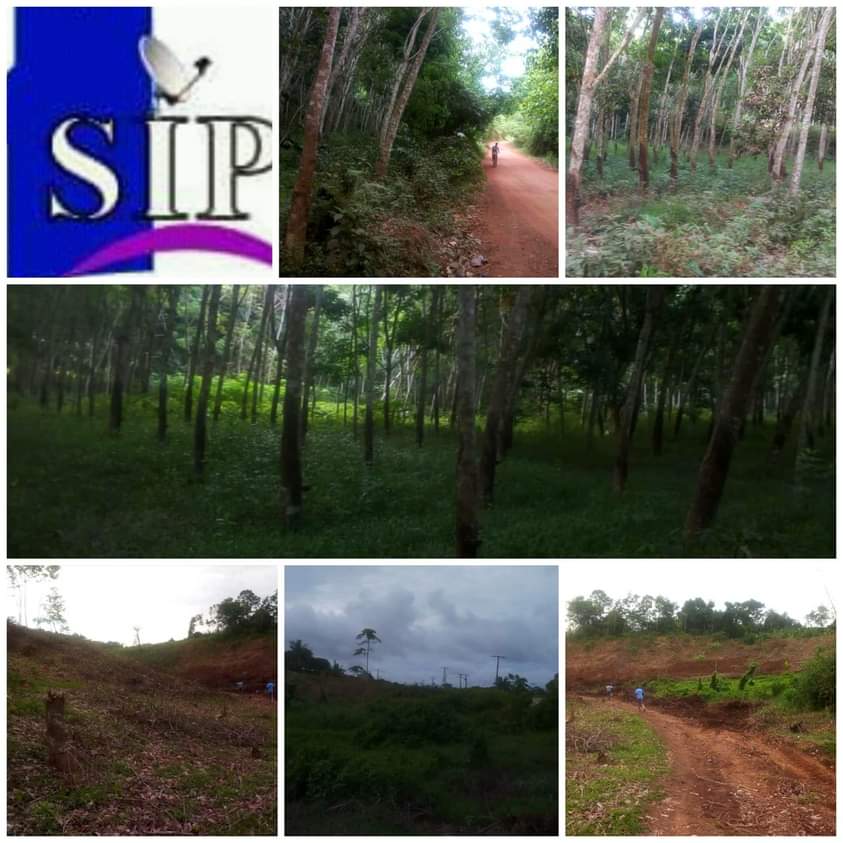 Terrain en vente à crédit Terrain en vente à crédit