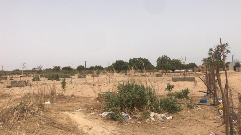 TERRAIN AGRICOLE 1 HA