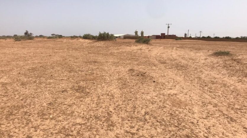 TERRAIN AGRICOLE 1 HA TERRAIN AGRICOLE 1 HA