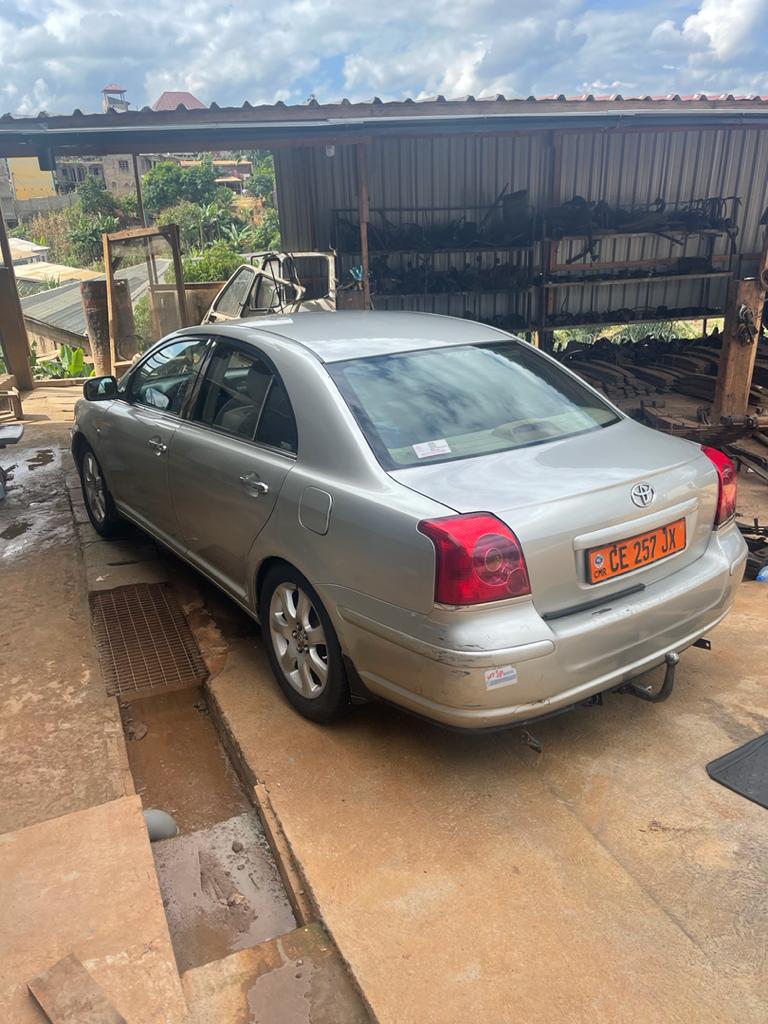 Avensis tête de cochon automatique Avensis tête de cochon automatique