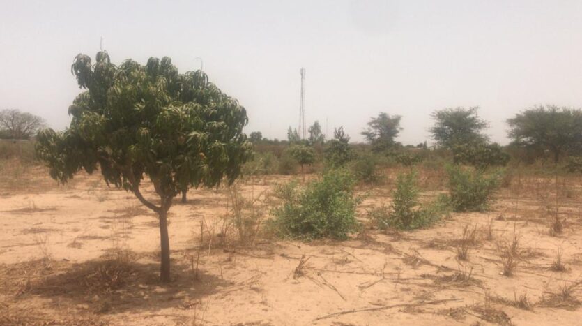 TERRAIN AGRICOLE 3HA