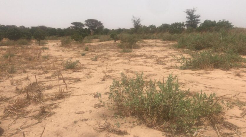 TERRAIN AGRICOLE 3HA TERRAIN AGRICOLE 3HA