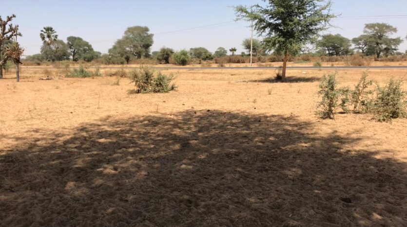 TERRAIN AGRICOLE A VENDRE