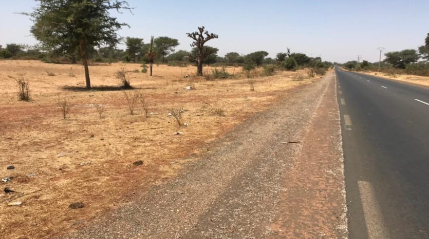 TERRAIN AGRICOLE A VENDRE