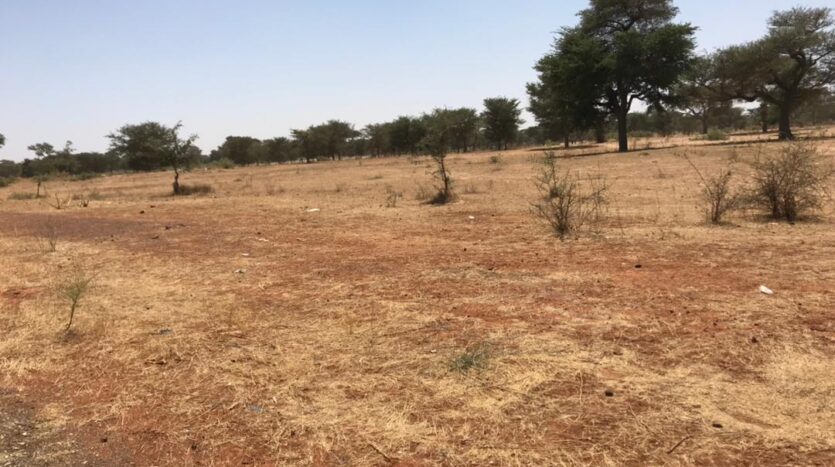 TERRAIN AGRICOLE A VENDRE TERRAIN AGRICOLE A VENDRE