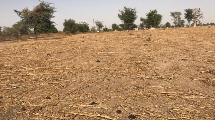 TERRAIN AGRICOLE  4224m²