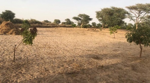 VERGER AGRICOLE A VENDRE