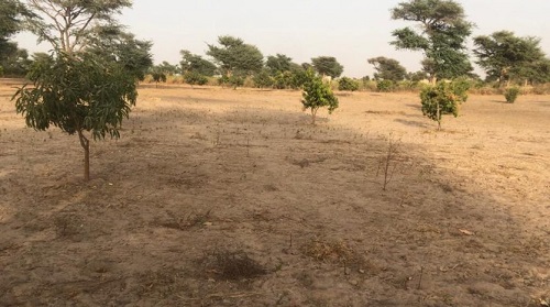 VERGER AGRICOLE A VENDRE VERGER AGRICOLE A VENDRE