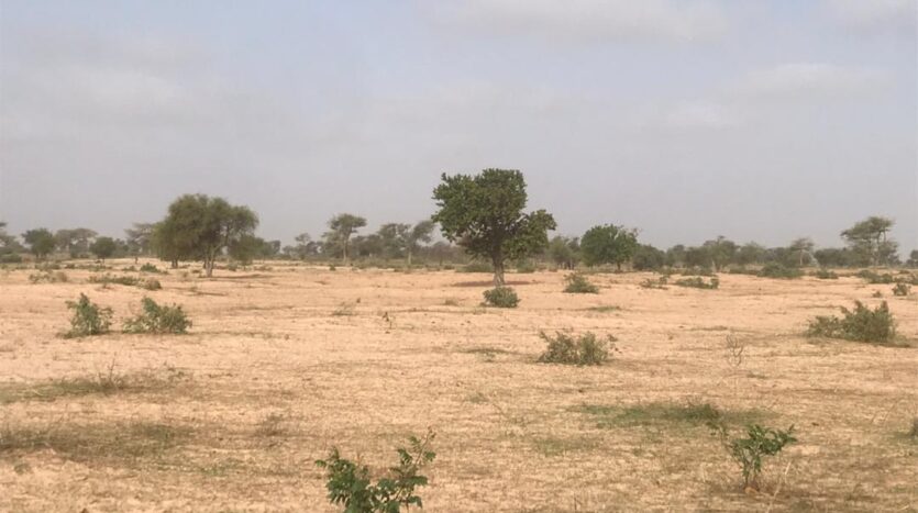 TERRAIN AGRICOLE 7.05HA TERRAIN AGRICOLE 7.05HA