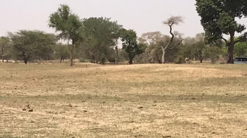 TERRAIN AGRICOLE A VENDRE 3.3HA