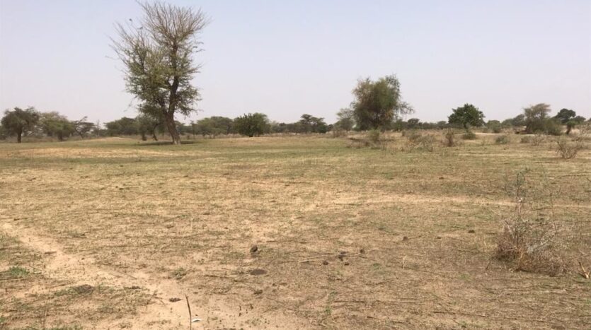 TERRAIN AGRICOLE A VENDRE 3.3HA