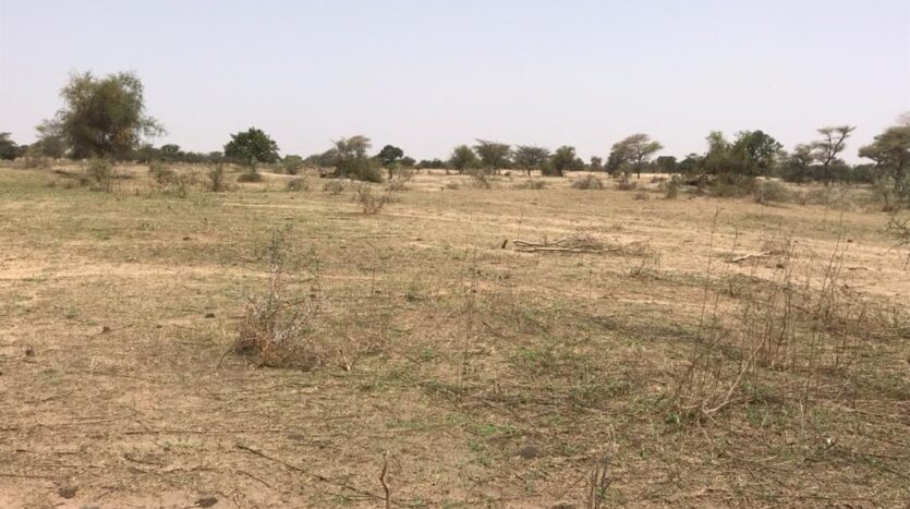 TERRAIN AGRICOLE A VENDRE 3.3HA TERRAIN AGRICOLE A VENDRE 3.3HA